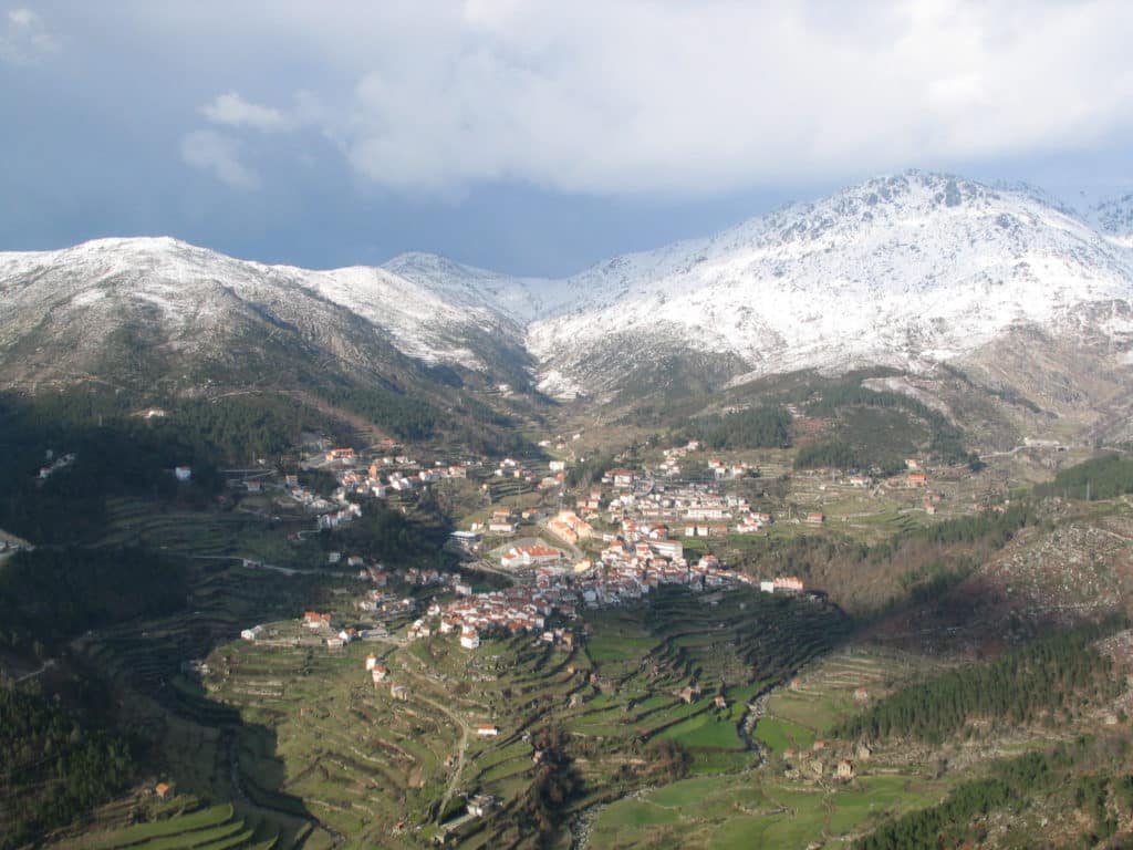 Loriga