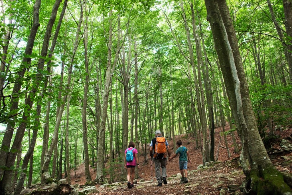 Montseny, escapadas rurales en familia