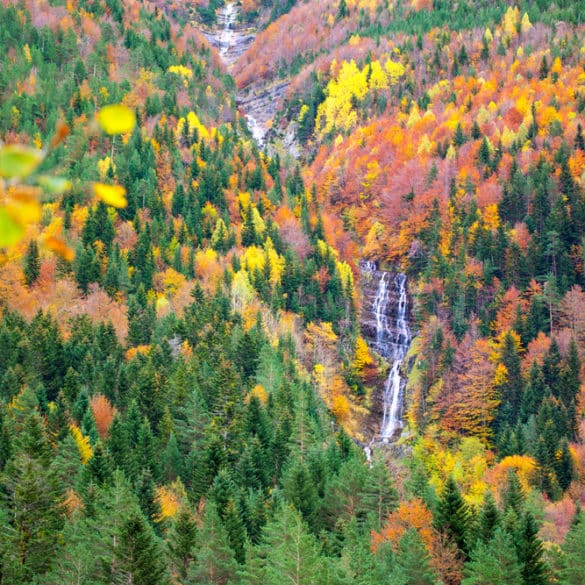 Planes para una escapada rural en otoño en Aragón