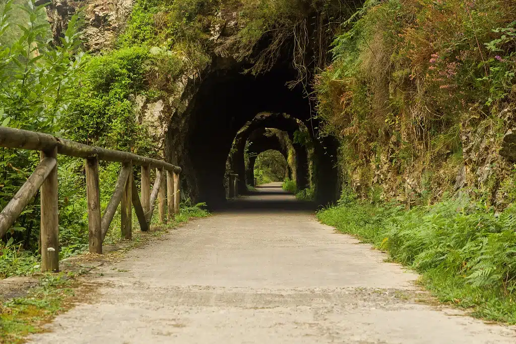 Senda del Oso, Asturias