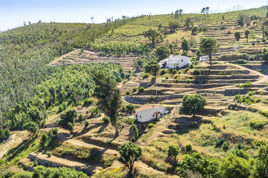 5 Paradas naturales imprescindibles en la Vía Algarviana