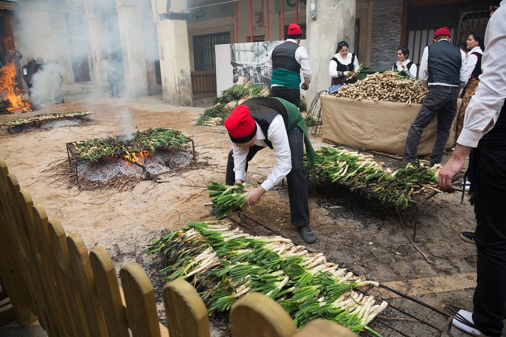 Calçots