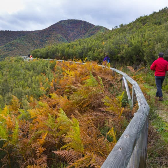 Planes para una escapada rural en otoño en Asturias