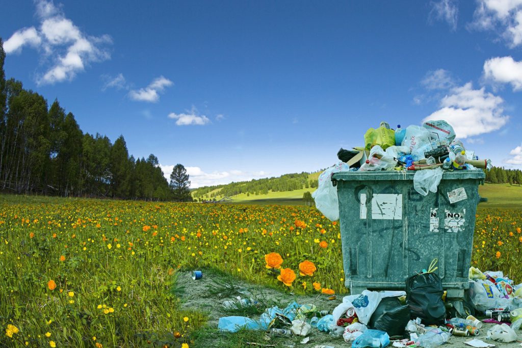 Cada vez hay más plástico en la naturaleza y nos lo estamos comiendo
