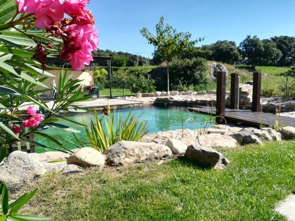 7 casas rurales con piscinas naturales