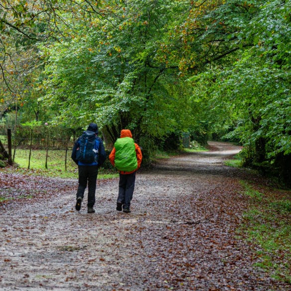 Planes para una escapada rural en otoño en Cantabria