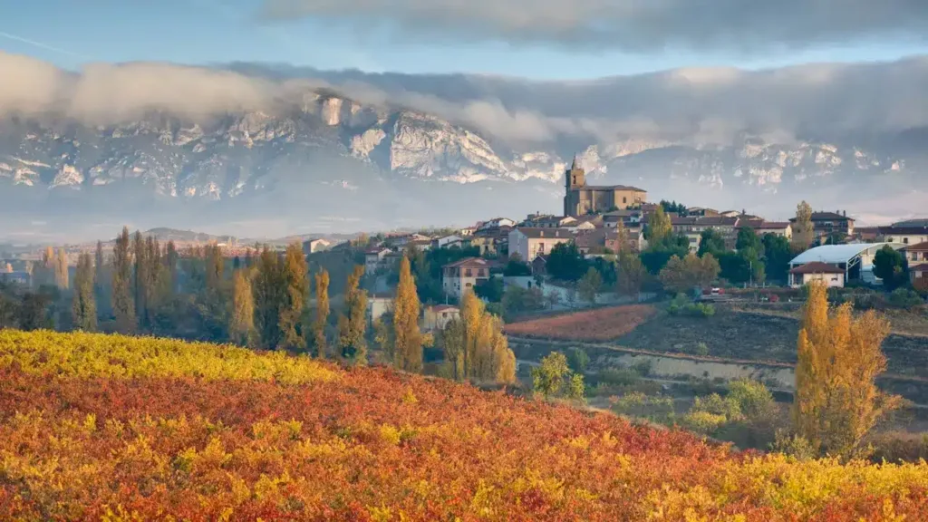 La Rioja Alavesa