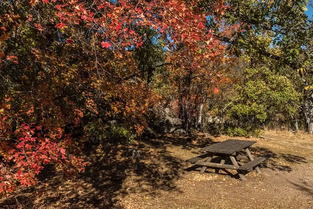 Bosque de la Herrería en San Lorenzo del Escorial (Madrid). Por MariaTeresa