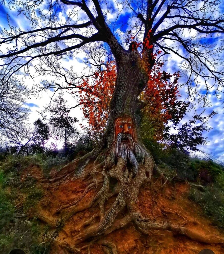 El Bosque Encantado de Parauta