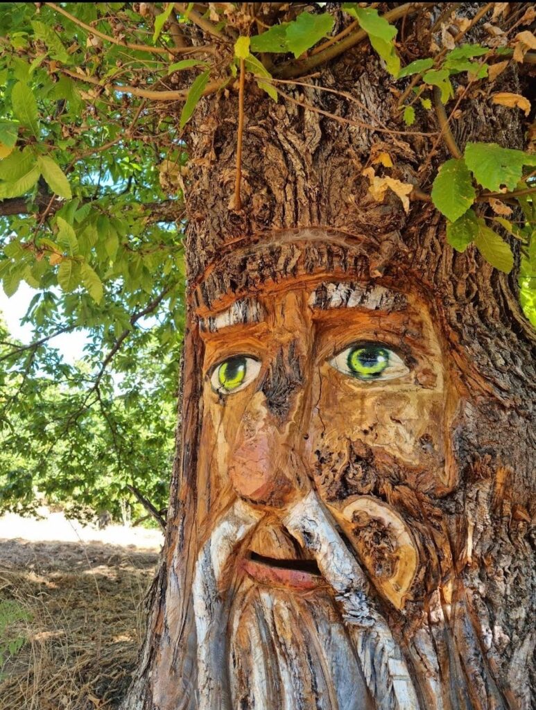 El Bosque Encantado de Parauta