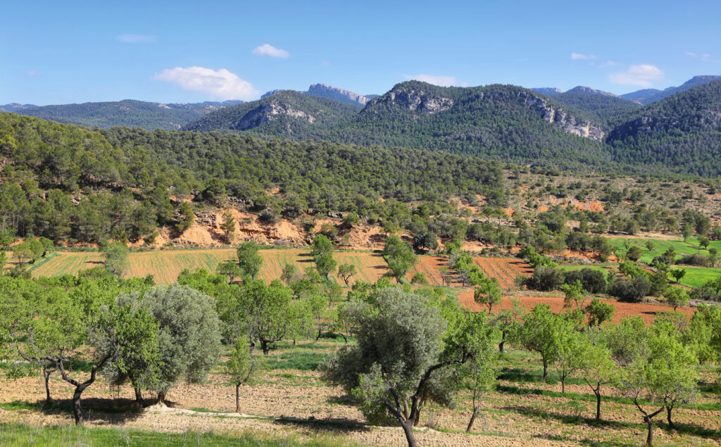 Els Ports desde Beceite, para subir al Tosal del Rey | Por estivillml