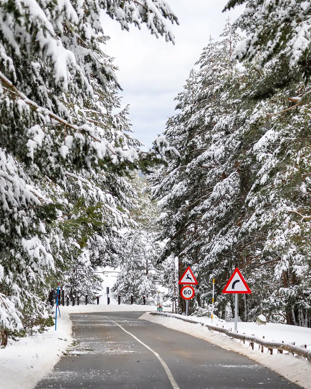 Puerto de Cotos, Navacerrada. Por: josevgluis