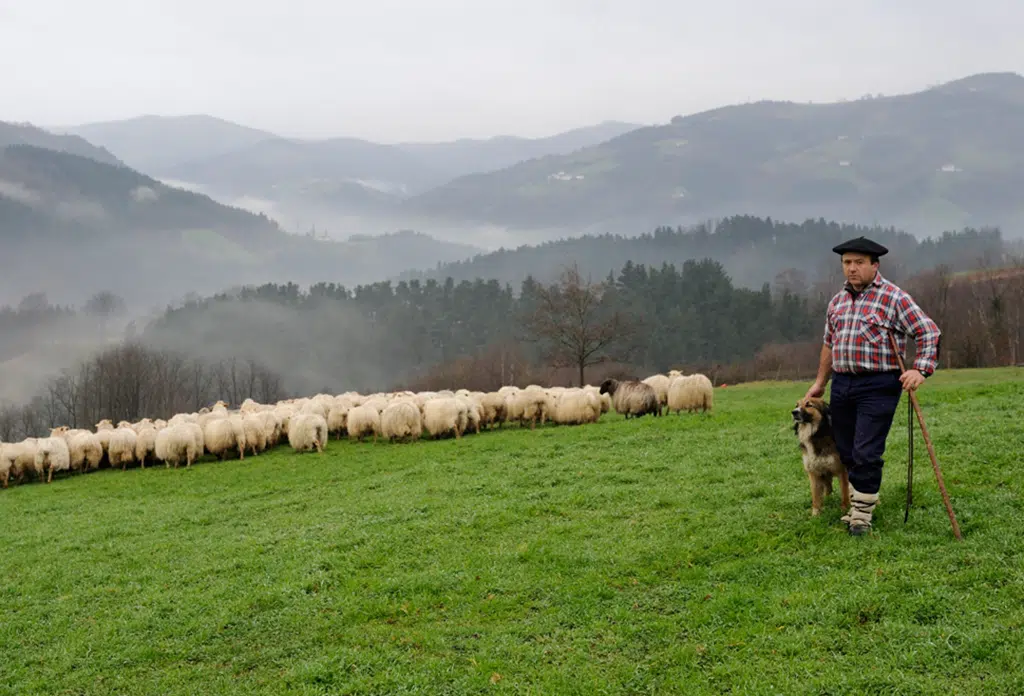 Pastor por un día. Bizkaia