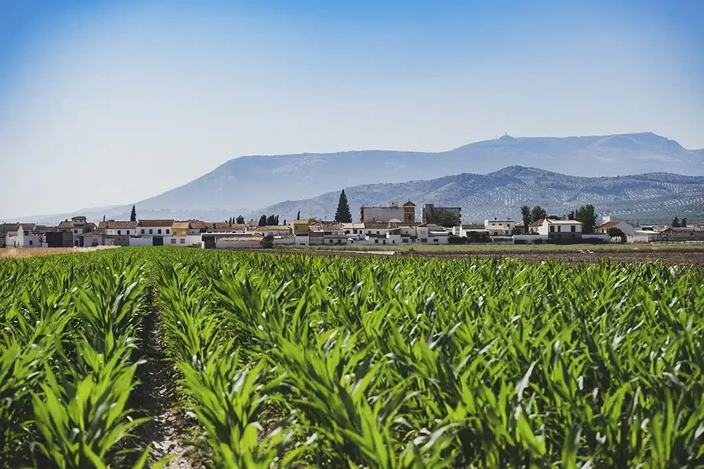 Vistas de Valderrubio (antes Asquerosa) Granada. Por Ayuntamiento de Valderrubio