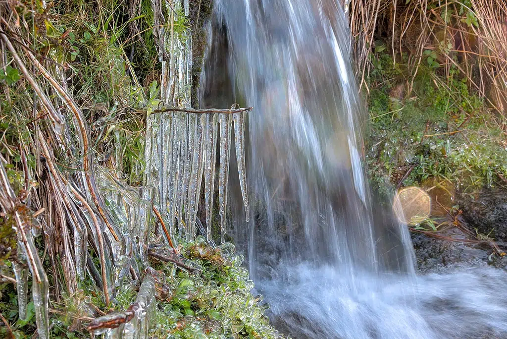 Plantas cubiertas de hielo junto a un pequeño arroyo en Soportújar, Parque Nacional de Sierra Nevada. Por Trougnouf (Benoit Brummer)