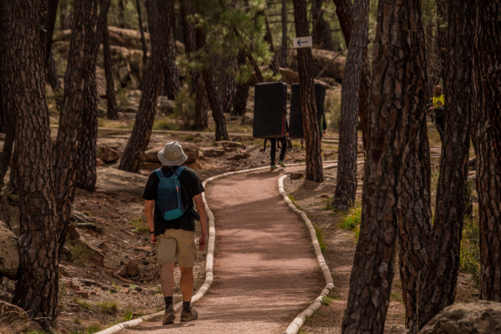 Ruta por el Paisaje Protegido de los Pinares de Rodeno. Por Alejandro Vicente.