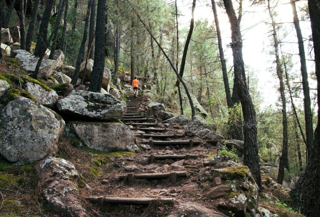 Ruta por el Paisaje Protegido de los Pinares de Rodeno. Por Alejandro Vicente.