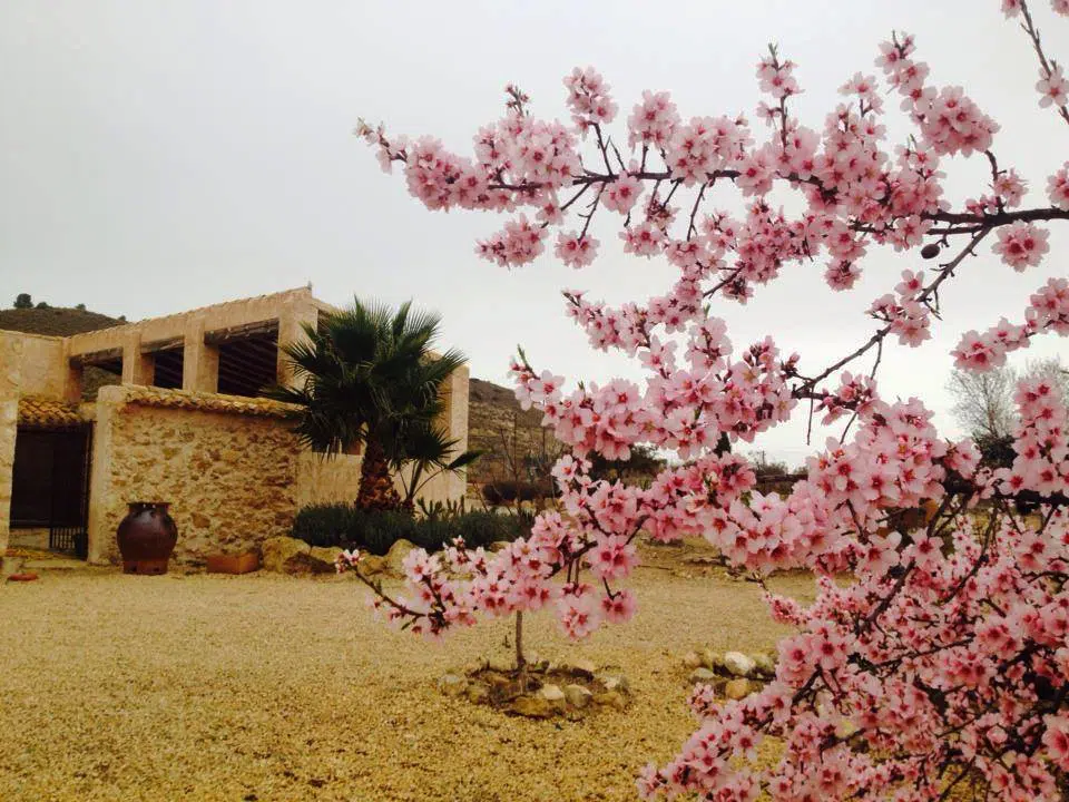 Casa Rural Delta Del Ebro Villafeliche