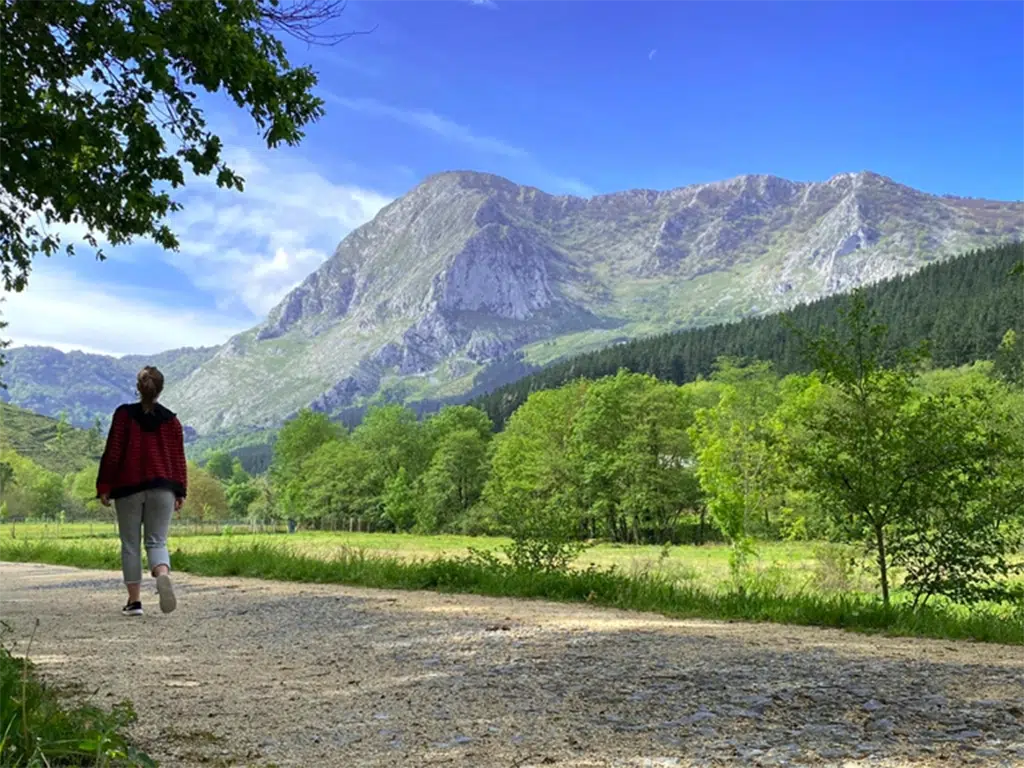 Arrazola. Bizkaia