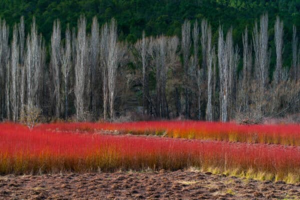 Paisaje rojo de la ruta del mimbre, Cuenca. Por JUAN CARLOS MUNOZ.