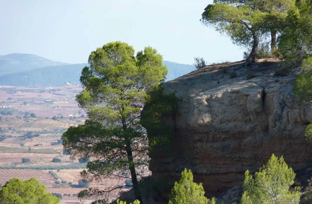 La Muela de Arriba, cerca de Requena (Valencia), donde se ubicaba un antiguo poblado ibérico.