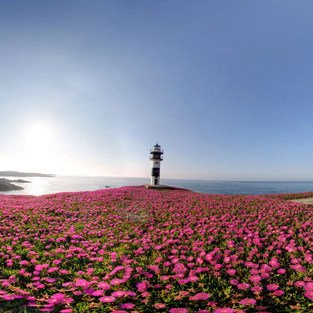 Isla de Pancha, Ribadeo