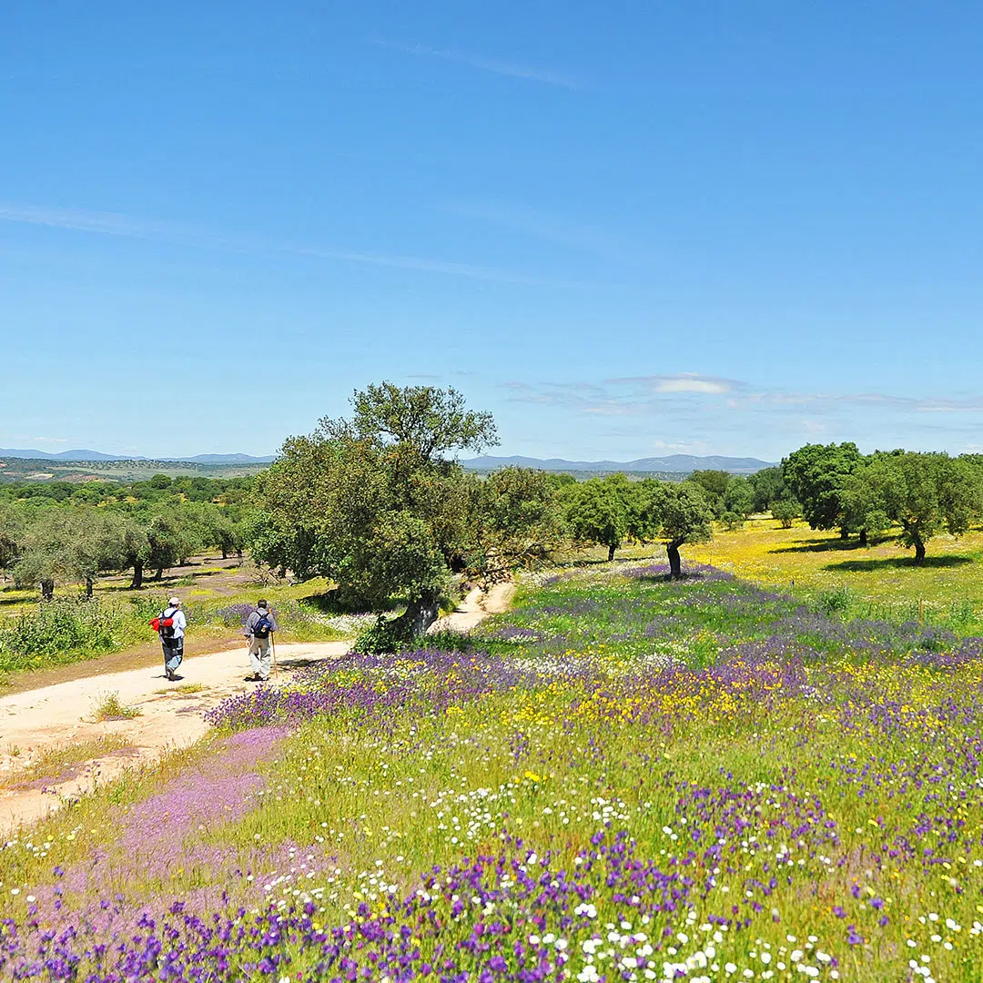 Senderismo en el Parque Natural de Cornalvo, Extremadura