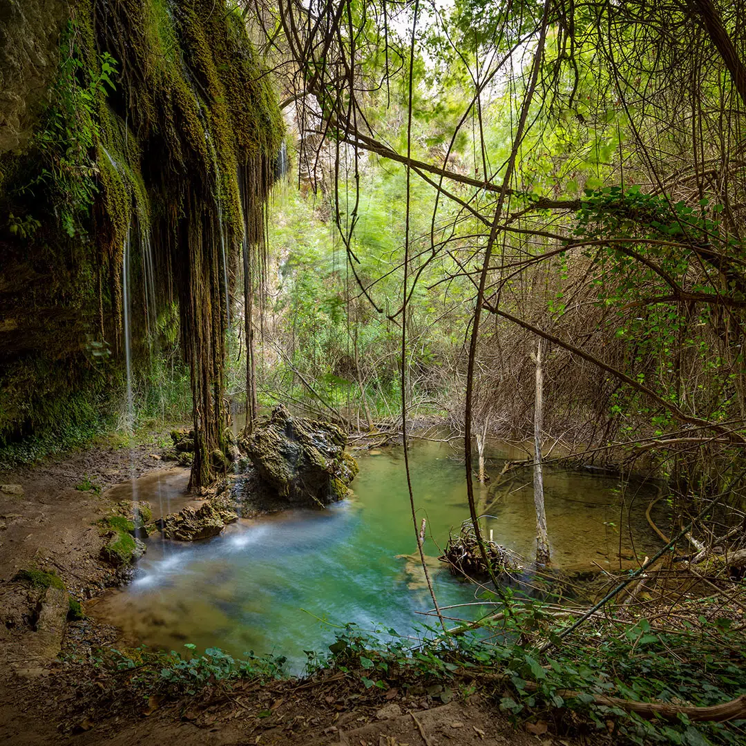 Poza de las Tortugas, Murcia