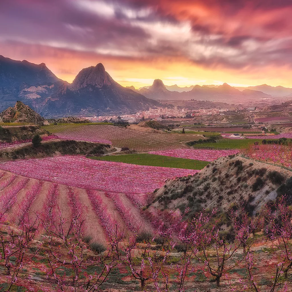 Valle de Cieza, Murcia