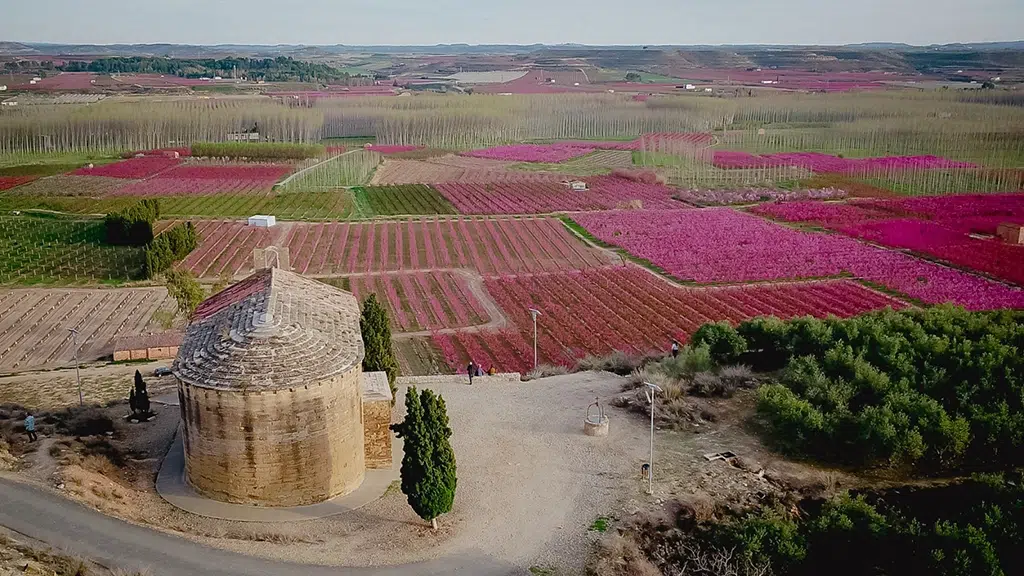Ermita de Sant Joan de Carratalà, en Aitona.