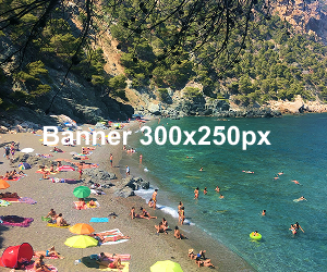 300×250