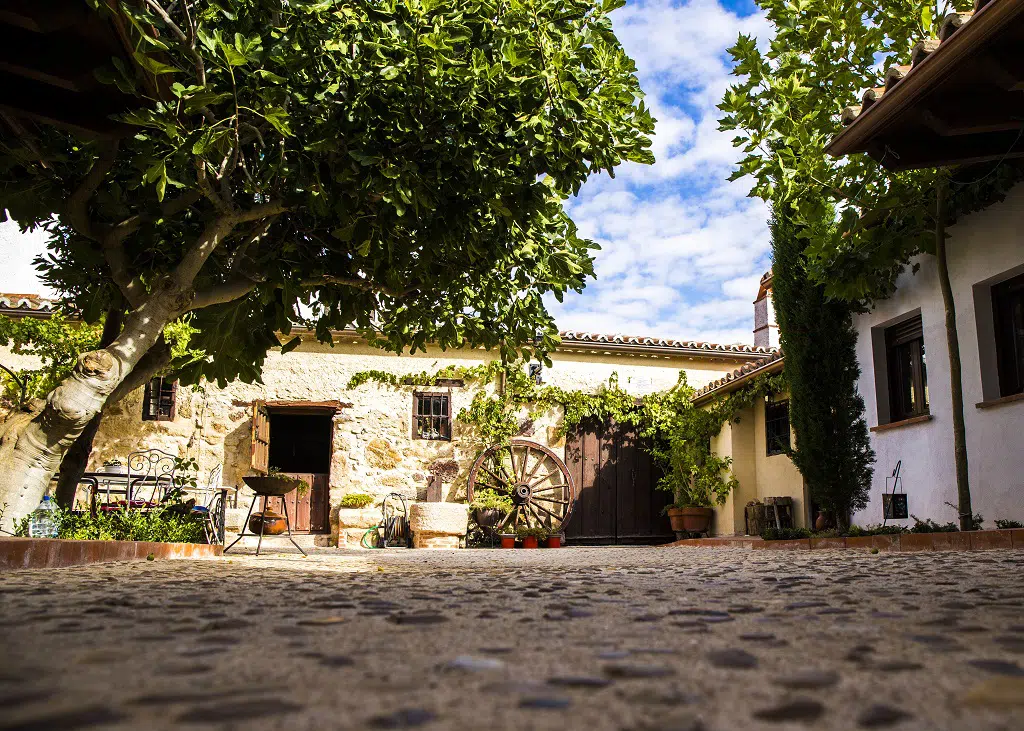 Casas rurales para comer los dulces típicos de Semana Santa: Entrambasorillas, Apartamentos Rurales