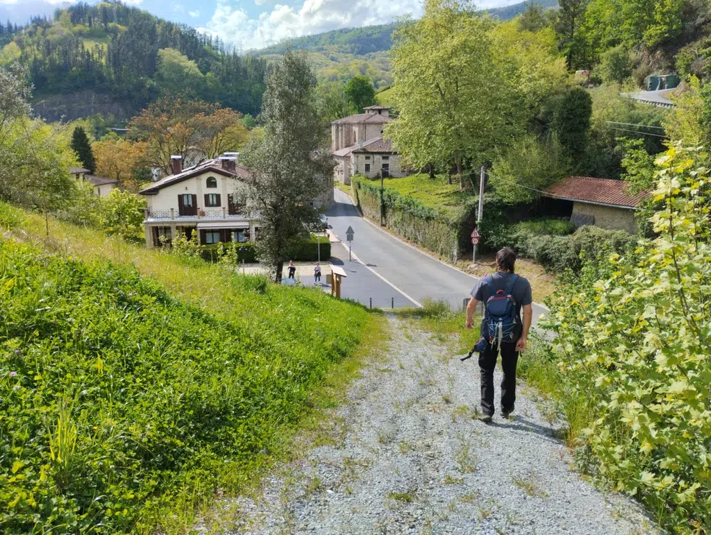 Sendero de la ruta del Gigante de Altzo. Por Raquel Andrés Durà
