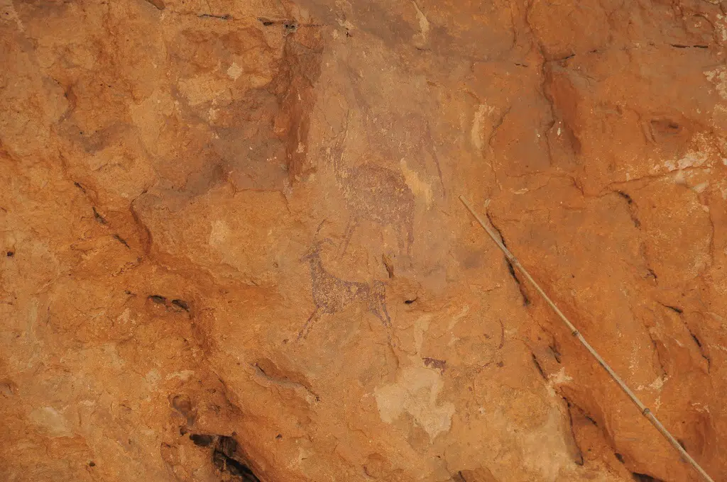 Verano cultural en la Comunitat Valenciana: Cueva de la araña, Bicorp