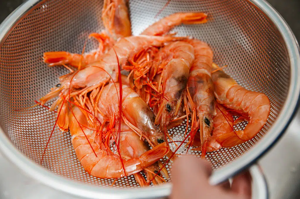 Gamba roja de Dénia