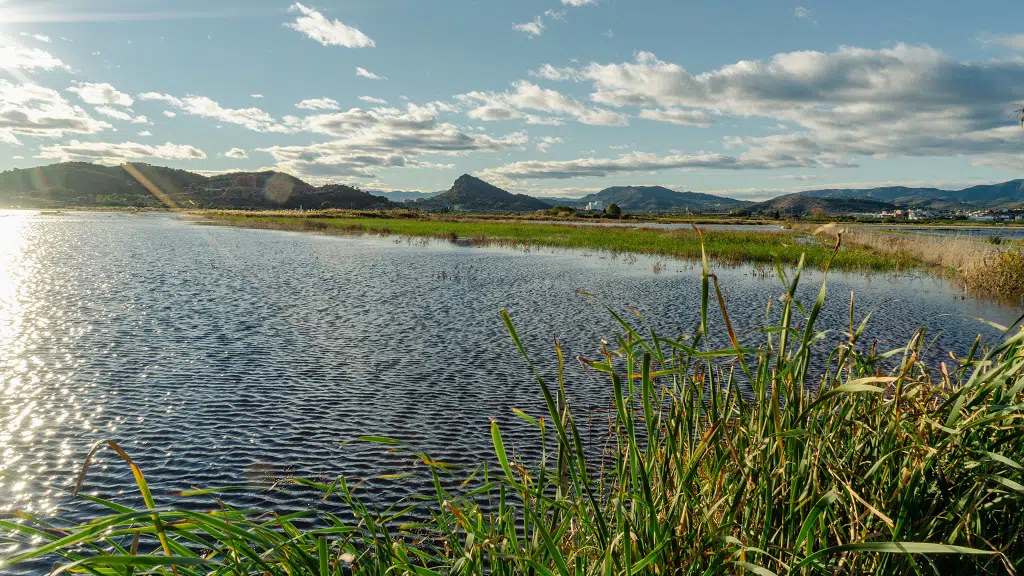 Destinos refrescantes en la Comunitat Valenciana: El Marjal, Castellón