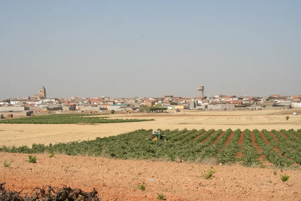 Las Pedroñeras (Cuenca). Uno de los pueblos que son "Capital del ajo"