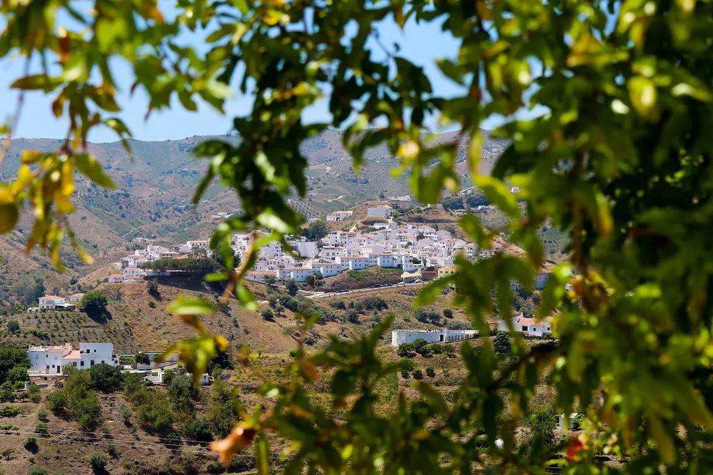 Pueblos que huelen bien: Almáchar, Málaga