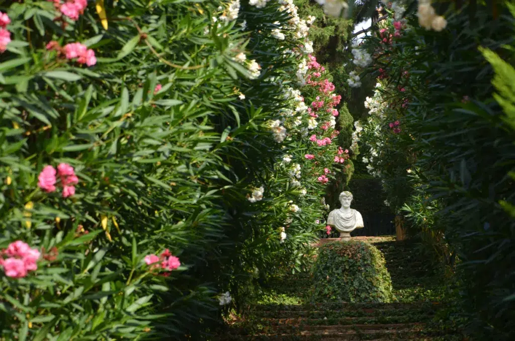 Jardines de Santa Clotilde en Lloret de Mar. Por vi_ponomarova.