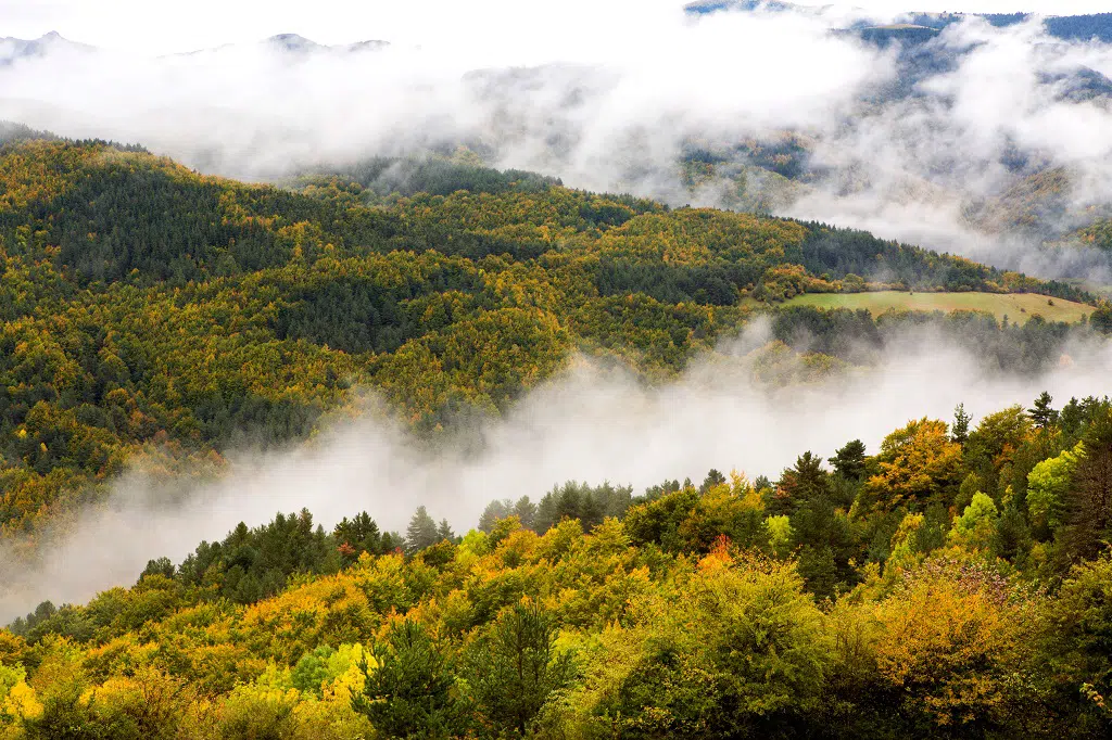 Nubes sobre la Selva de Irati, Navarra