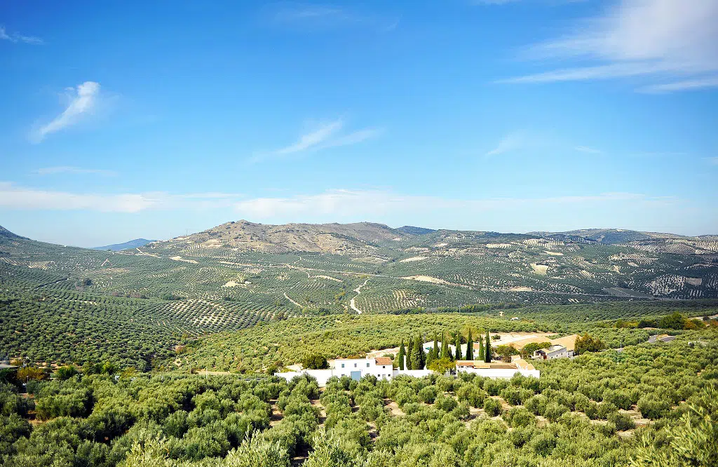 Olivares de Baena, Córdoba