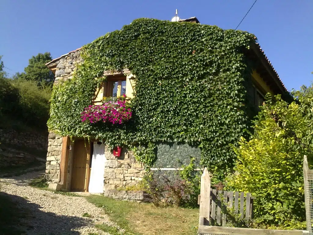 La Casa de la Hiedra, una de las casas rurales comidas por la naturaleza