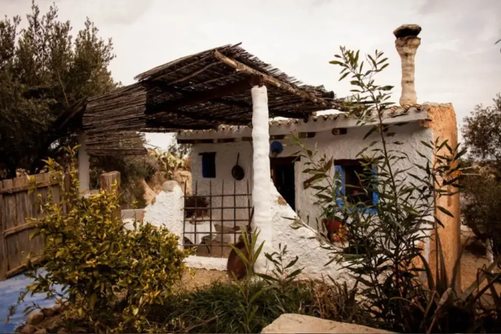 Aloe Vera, Huércal-Overa (Almería)