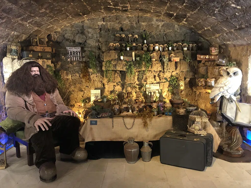 Castillo Encantando de Trigueros del Valle (Valladolid)