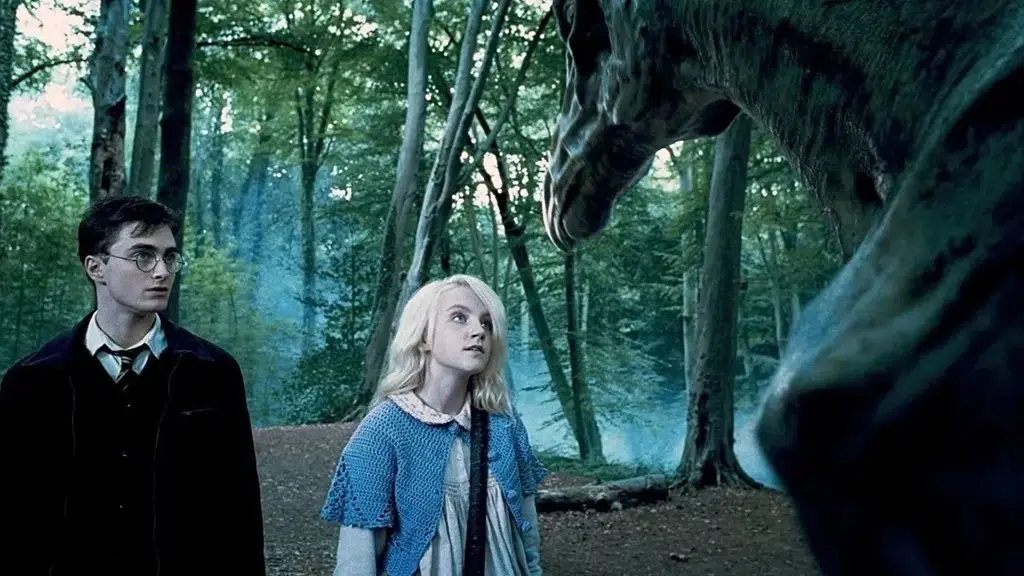 El Bosque Prohibido. Fotograma de la película Harry Potter. Por Warner