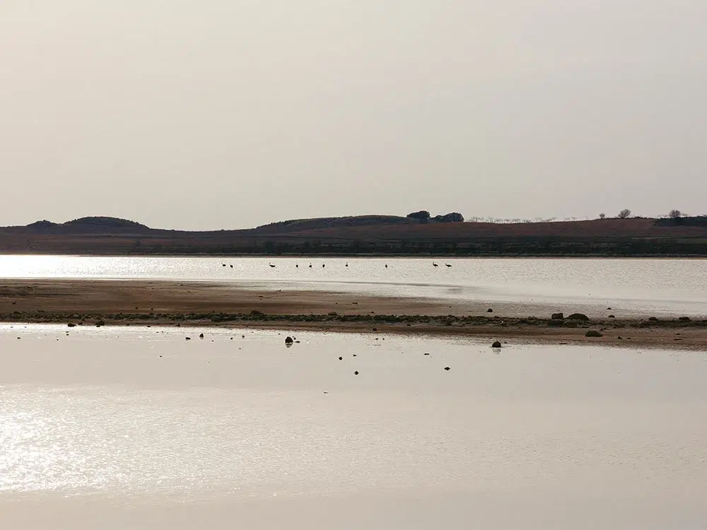 Lagunas de Salicor. Por Turismo Campo de Criptana.