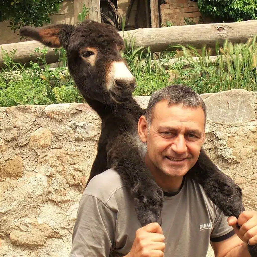 El burro catalán estuvo a punto de desaparecer, pero se recuperó.