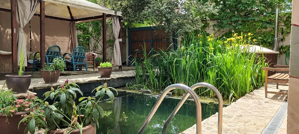 Casas rurales con piscina biológica.