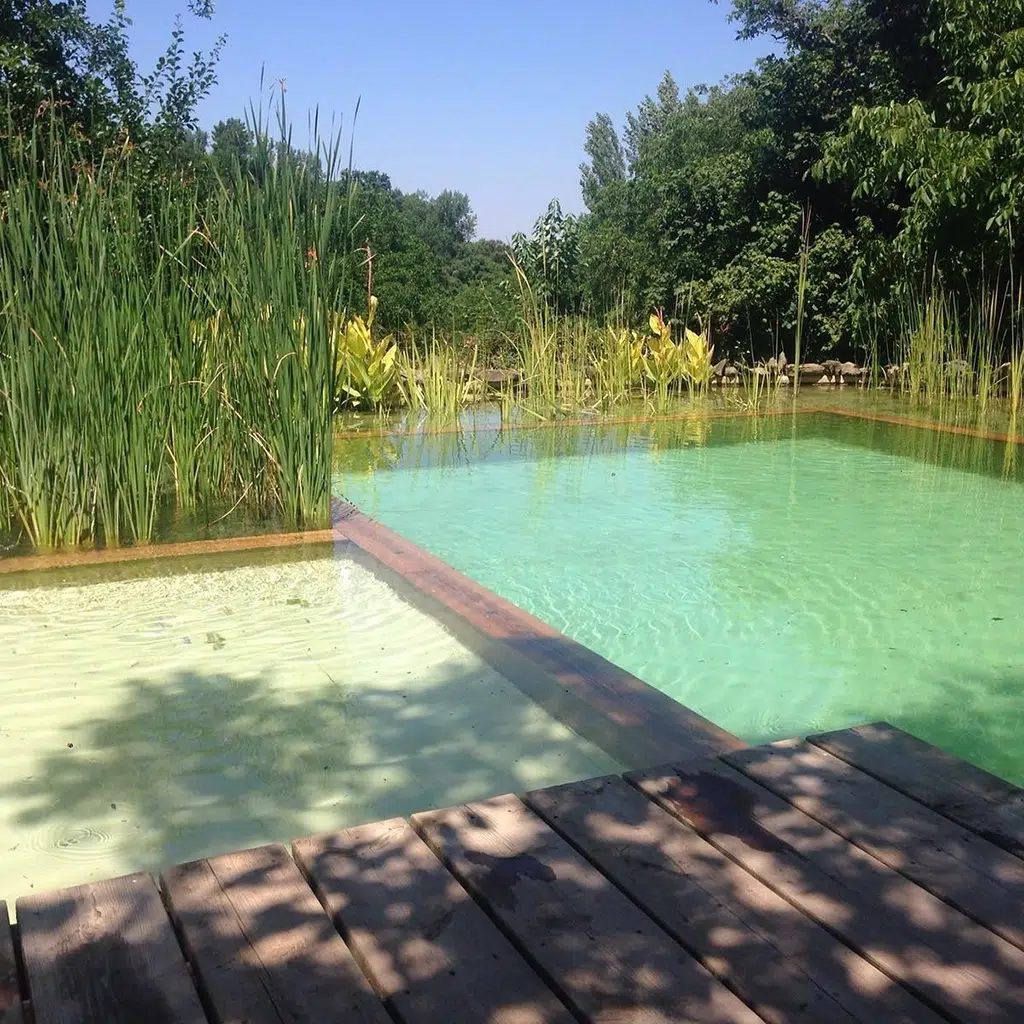 Casas rurales con piscina biológica.