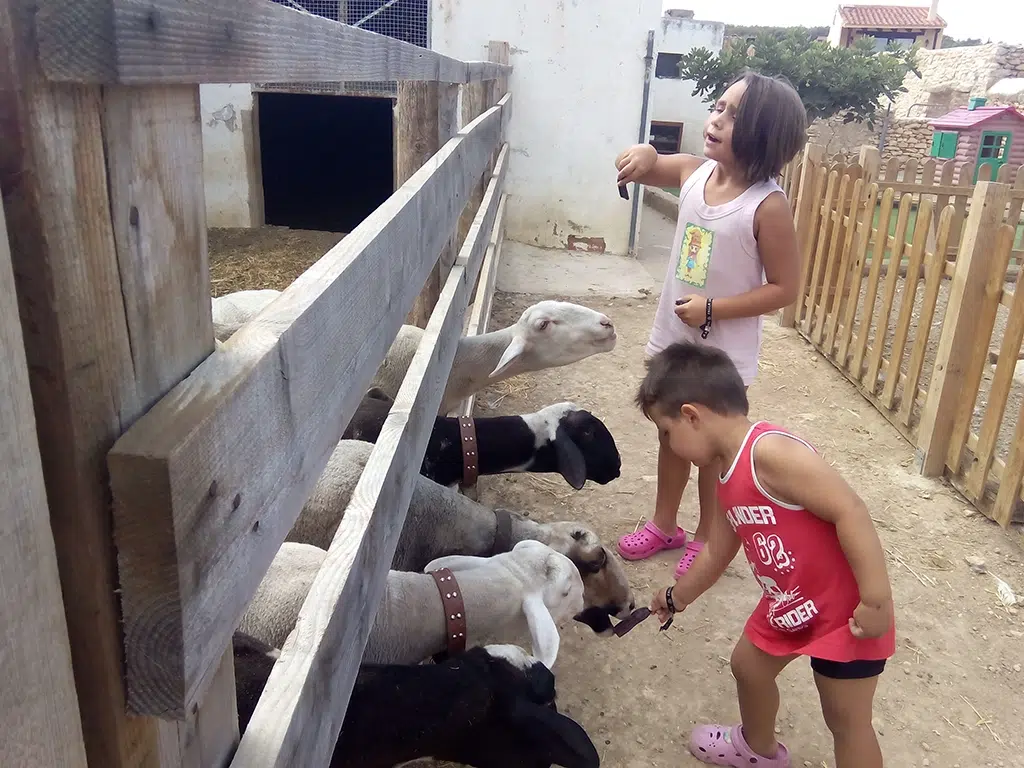 En Mediterránea Rural están enfocados en actividades con animales para niños con necesidades especiales.